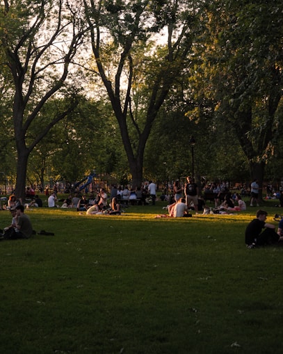 a group of people sitting on the grass