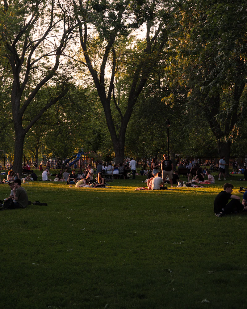Students sitting on campus lawn