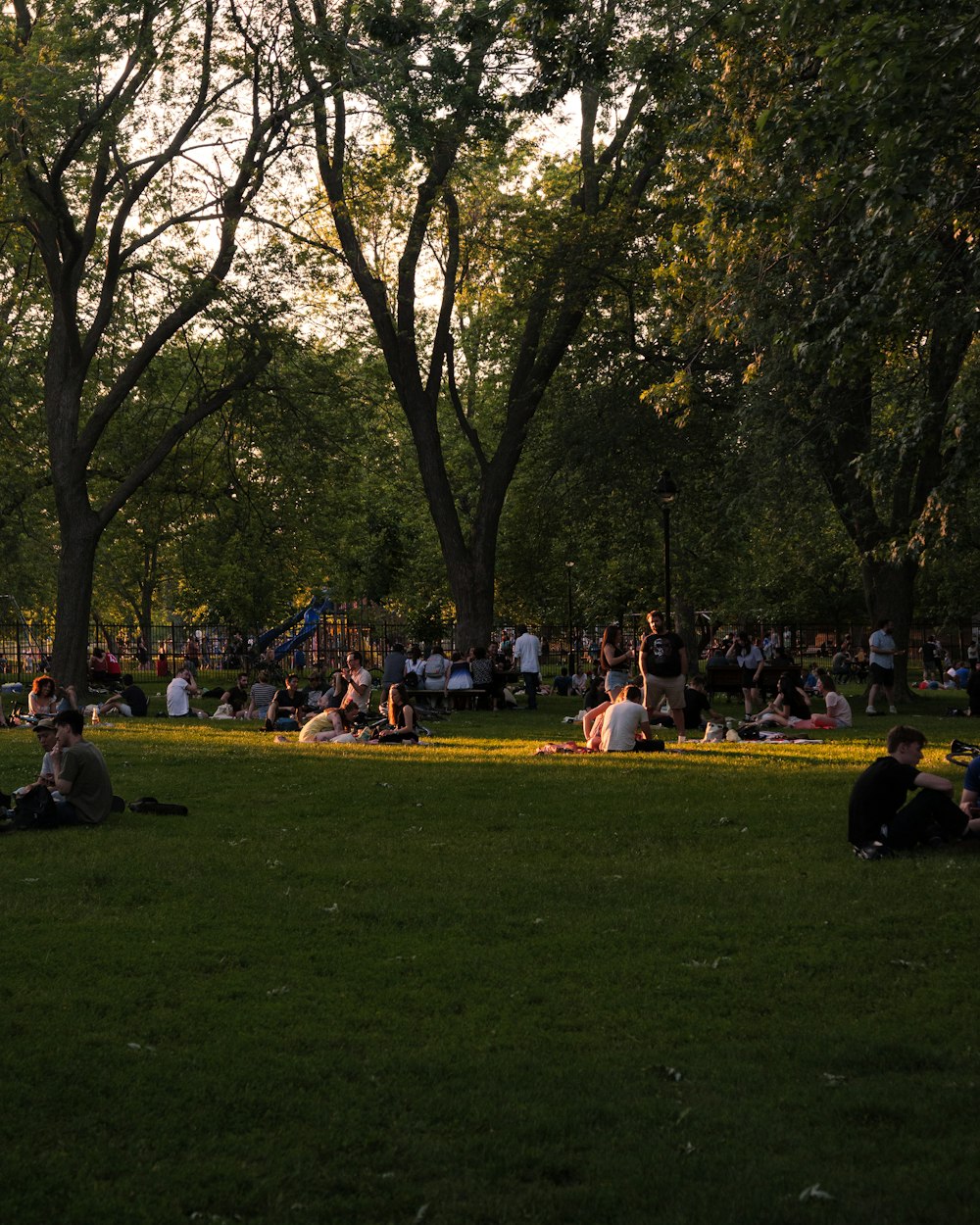 un groupe de personnes assises sur l’herbe