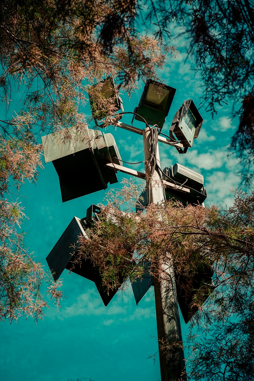 a clock tower in a park