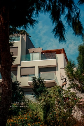a house with trees and bushes around it