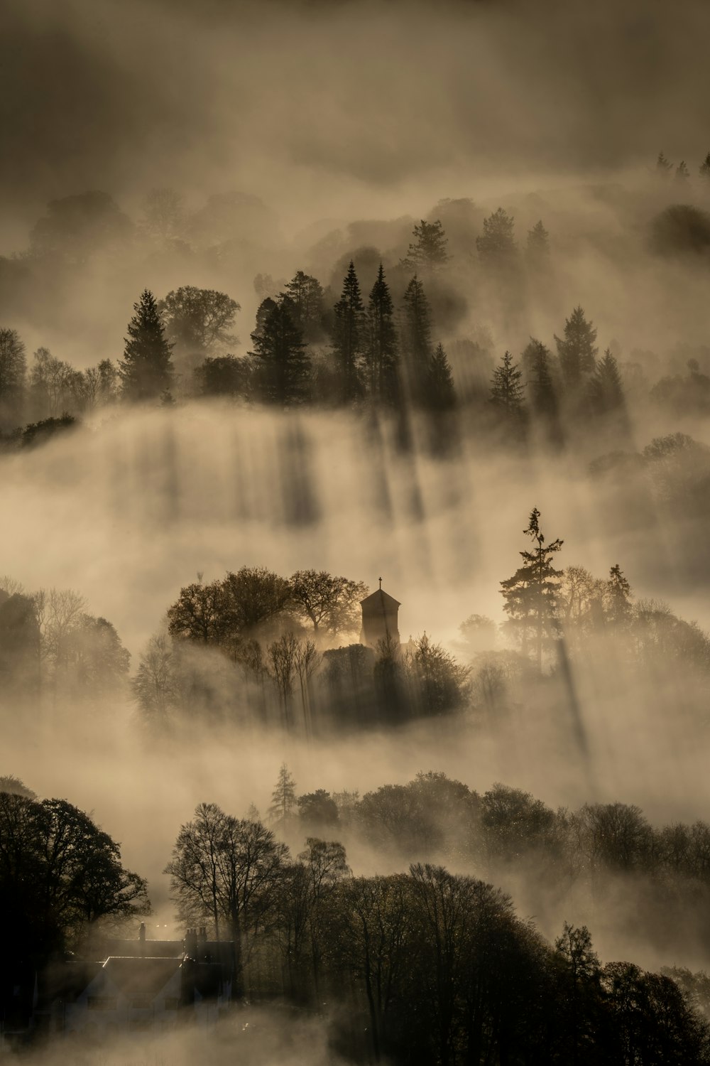 a foggy forest with a tower