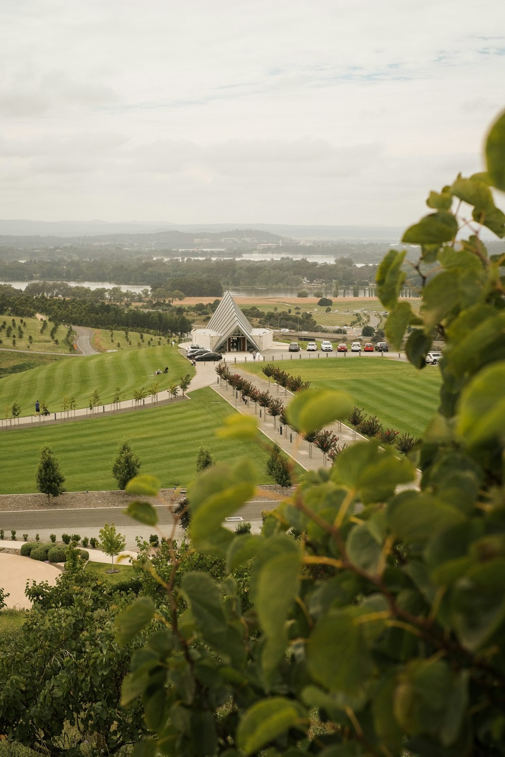 a large green landscape