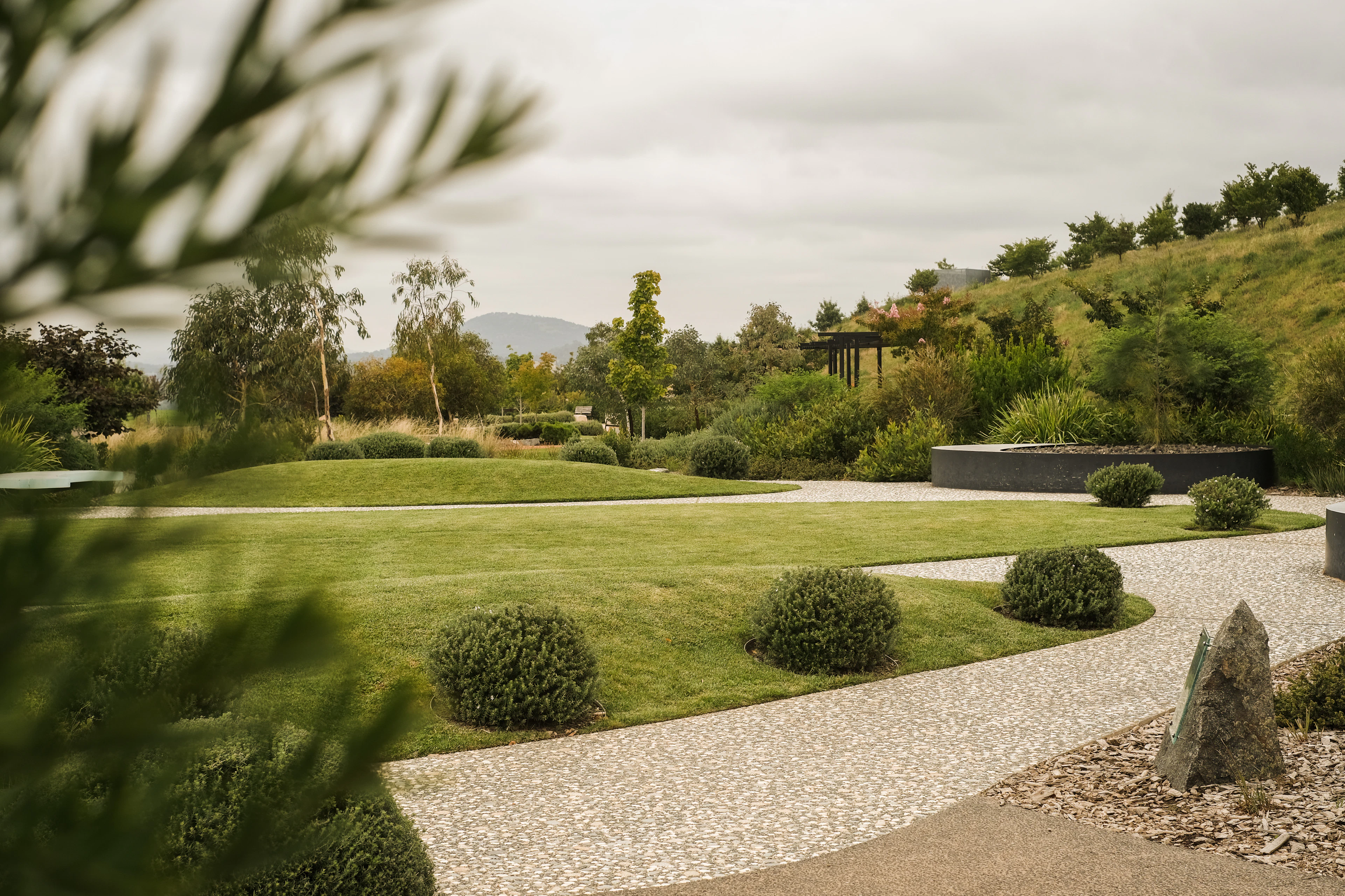 Manicured lawn with hedges and trees