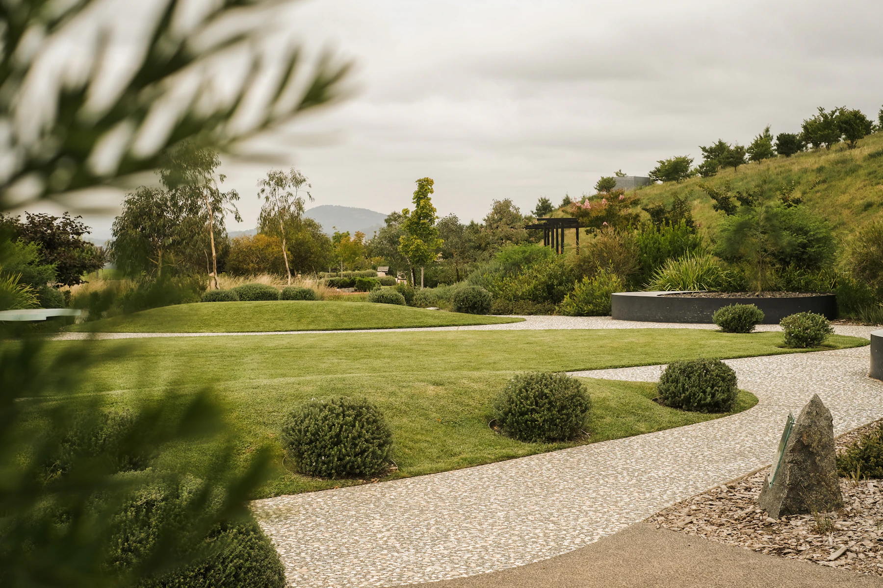 Lush green lawn with bushes and trees at a Florida property