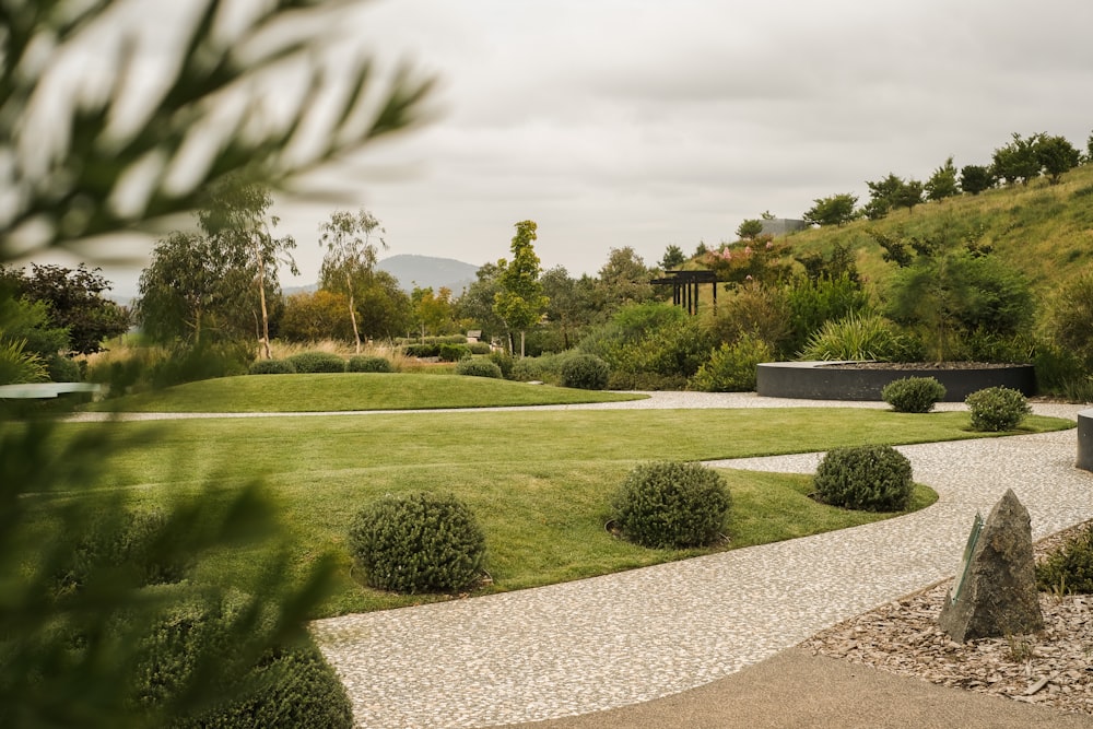 a large green lawn with bushes and trees