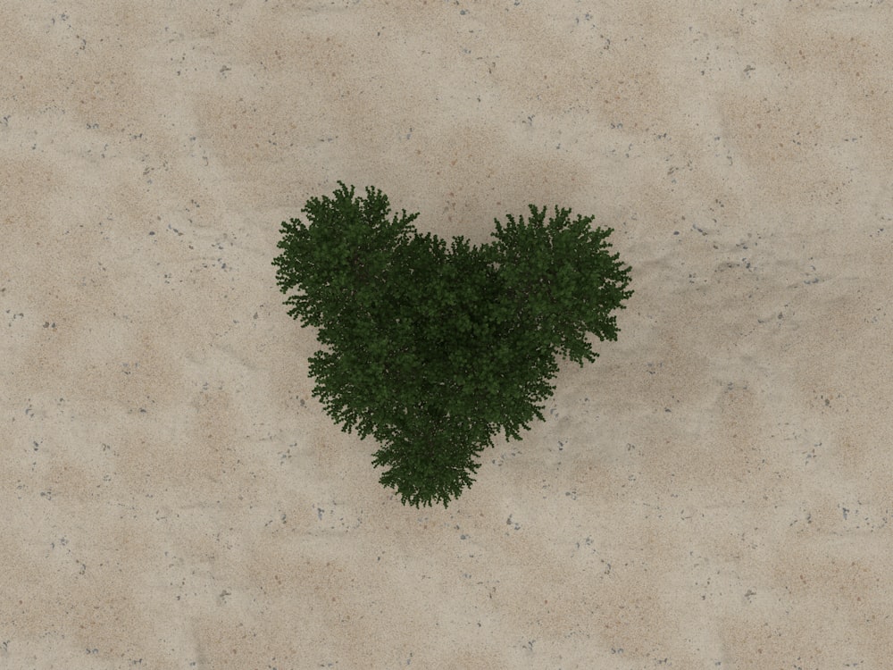 a green leaf on a white surface