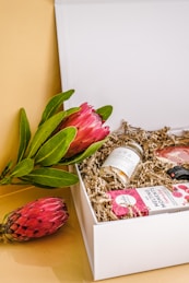 a plant in a box