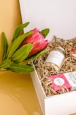 a plant in a box