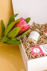 a plant in a box