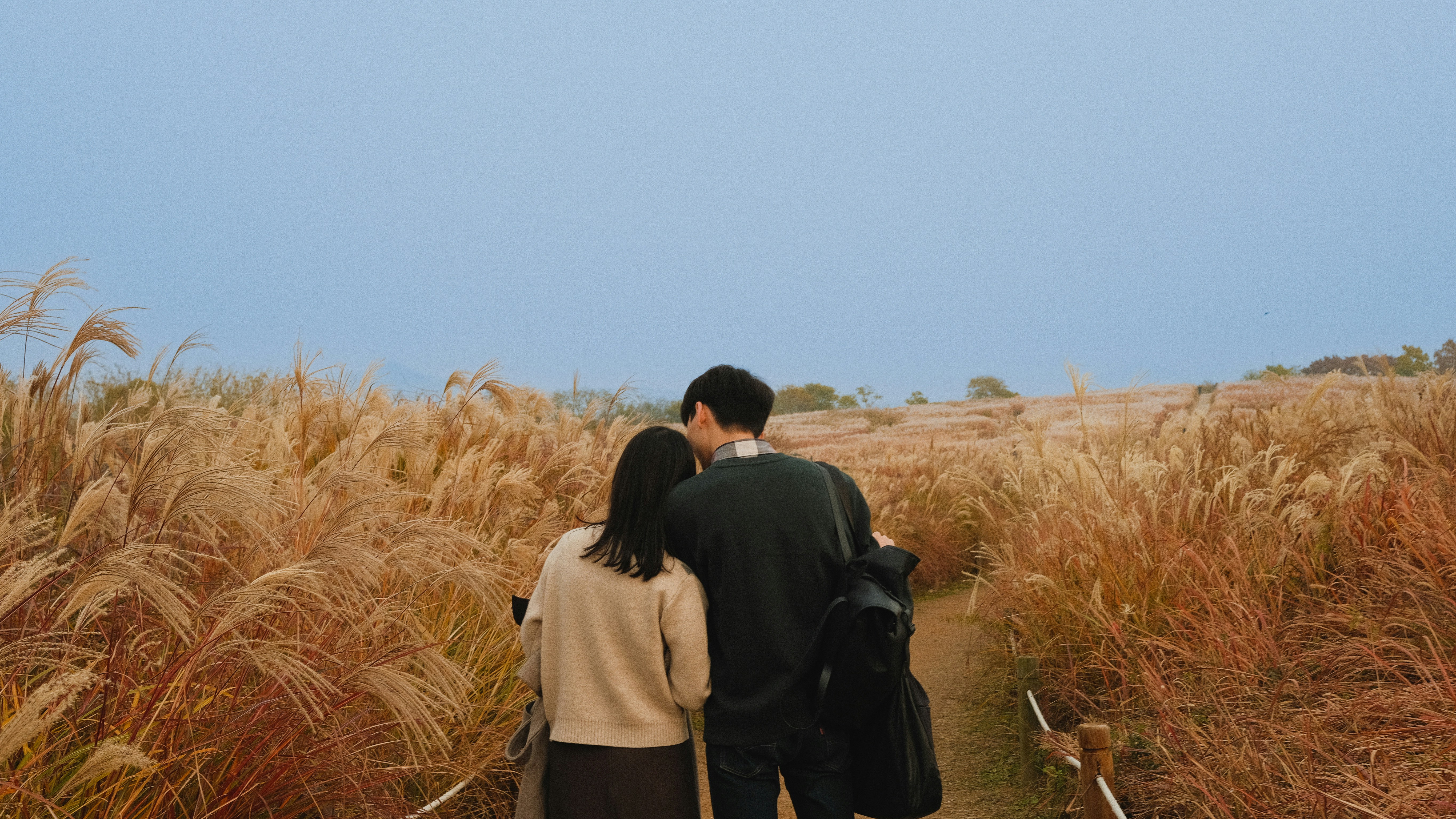 다시마 갱년기 남편 챙겨주려 핵심 요점 중심의 정보 요약 포스터