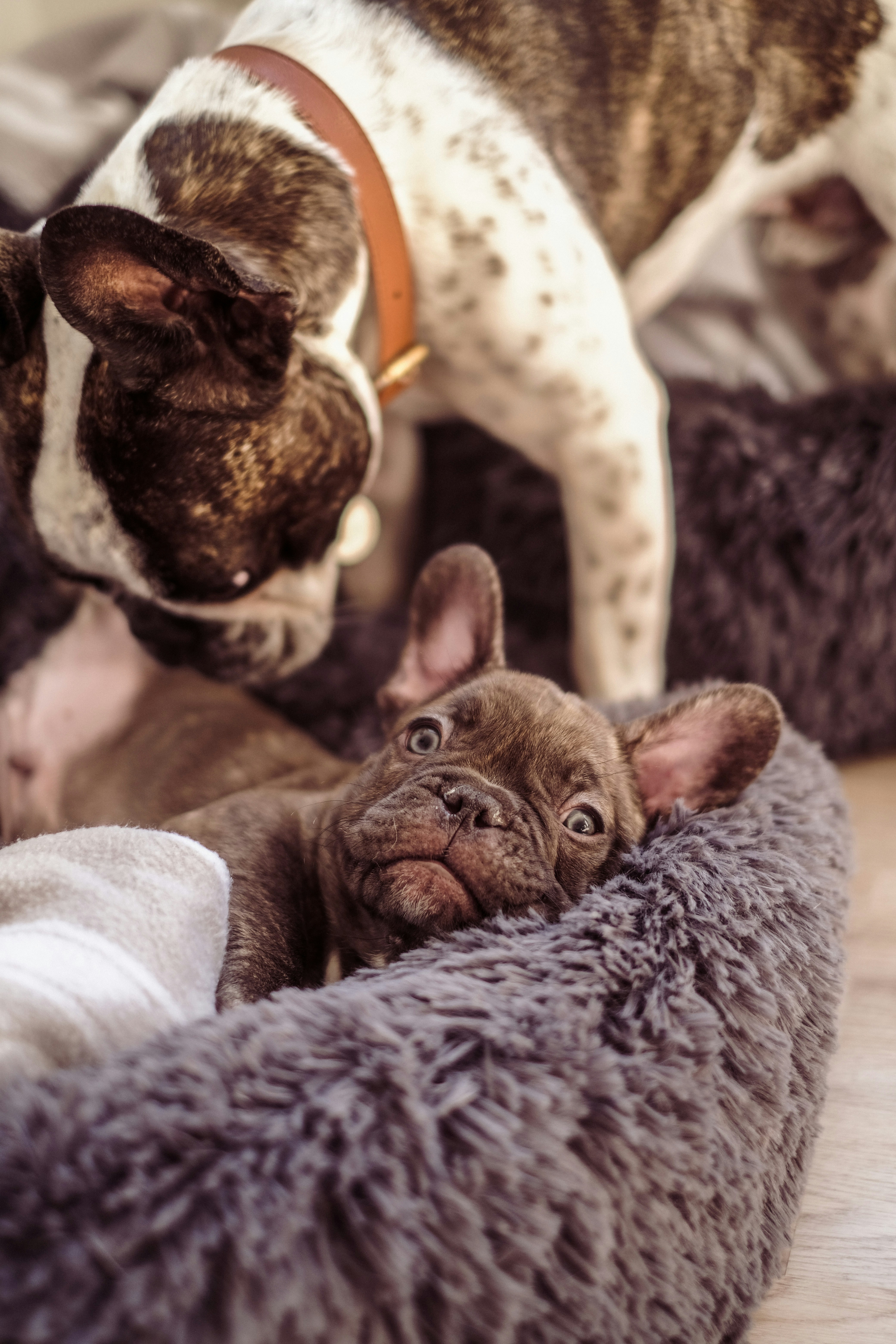 Photo by raegocreative