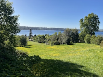 a grassy area with trees and a body of water in the background