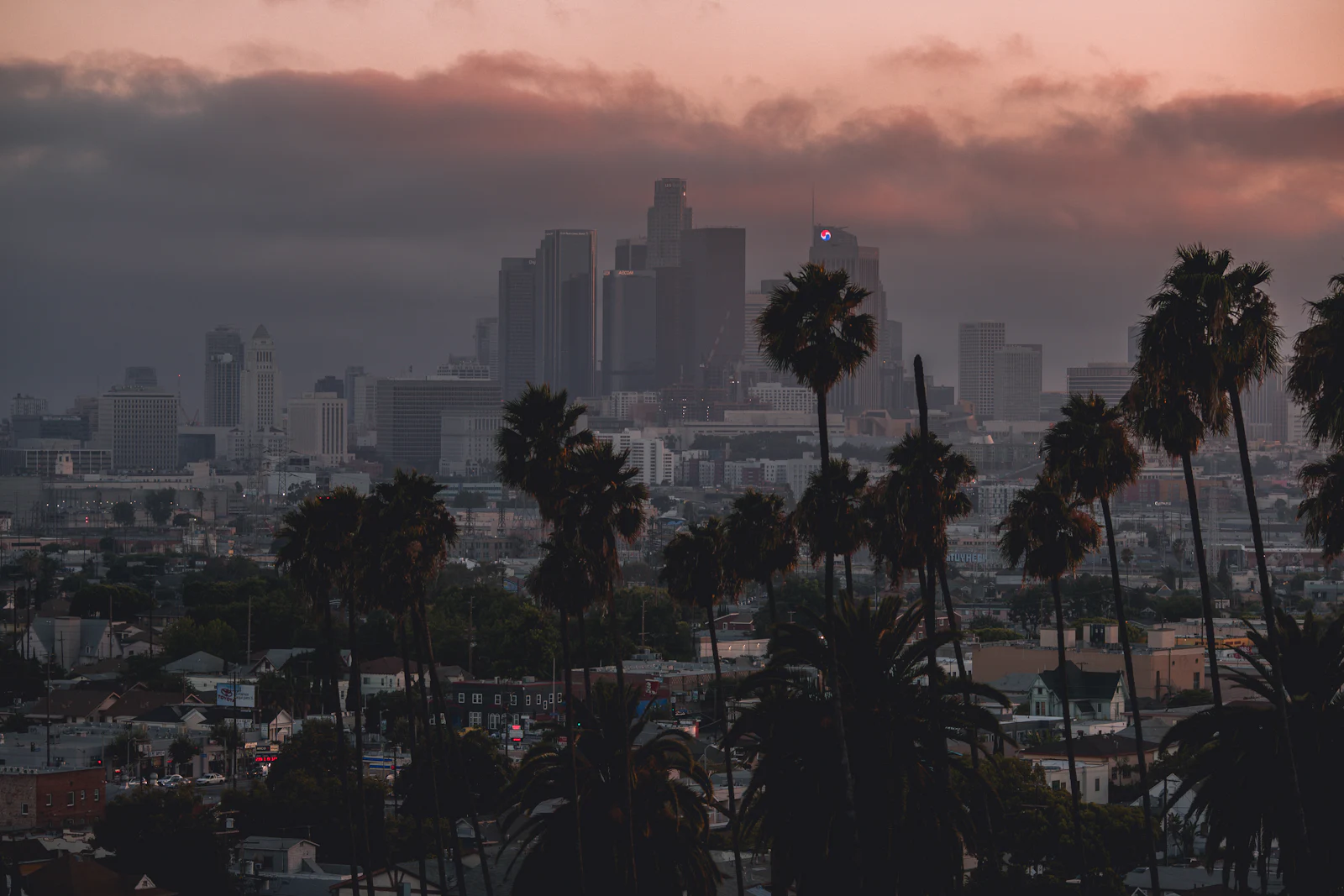 A low city skyline seen past palm trees in the foreground.