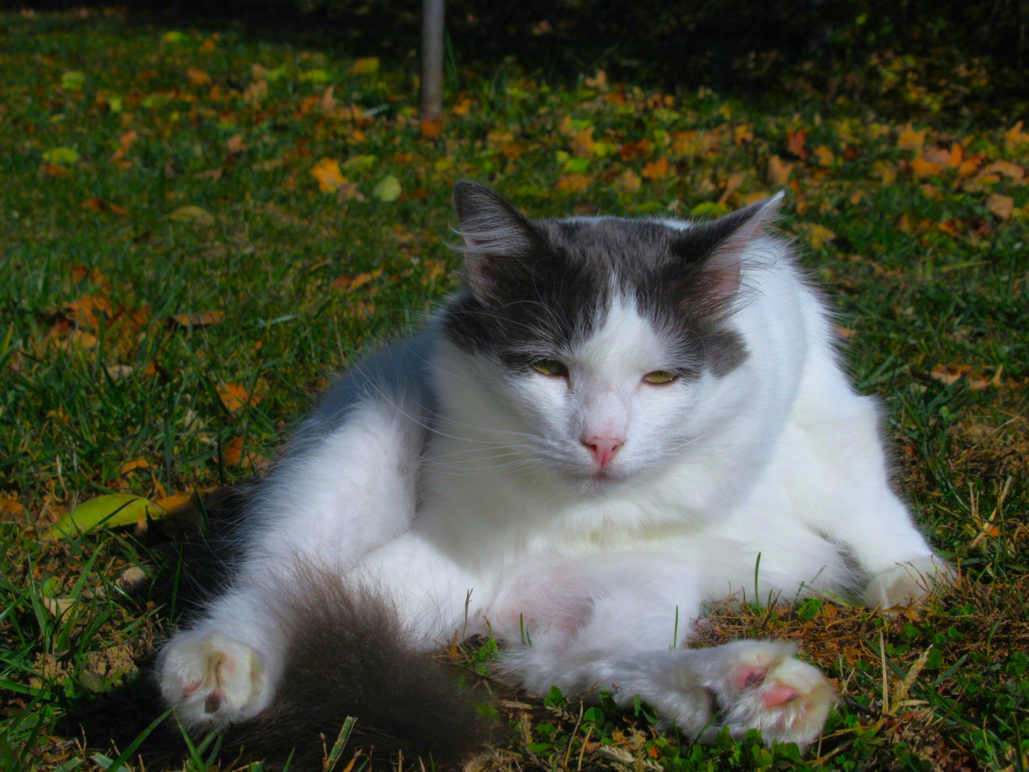 Photo by standerimages