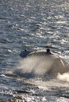 A sleek motorboat speeding across the water with trails of spray splashing behind. The sun glistens on the water, creating a sparkling effect.