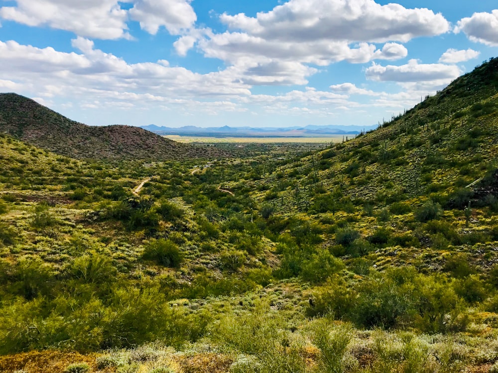 a landscape with hills and trees