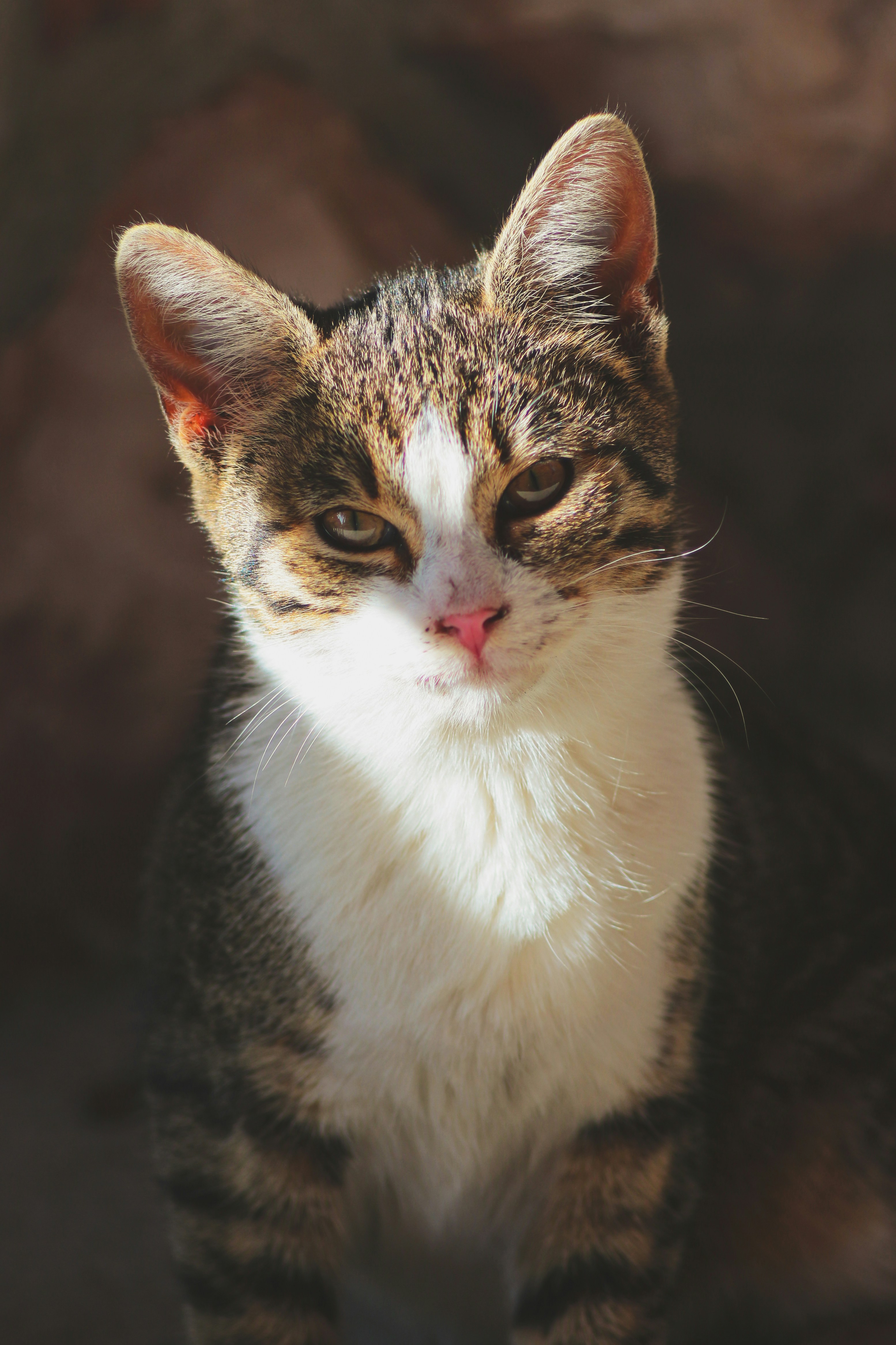 Photo by miloslopusina