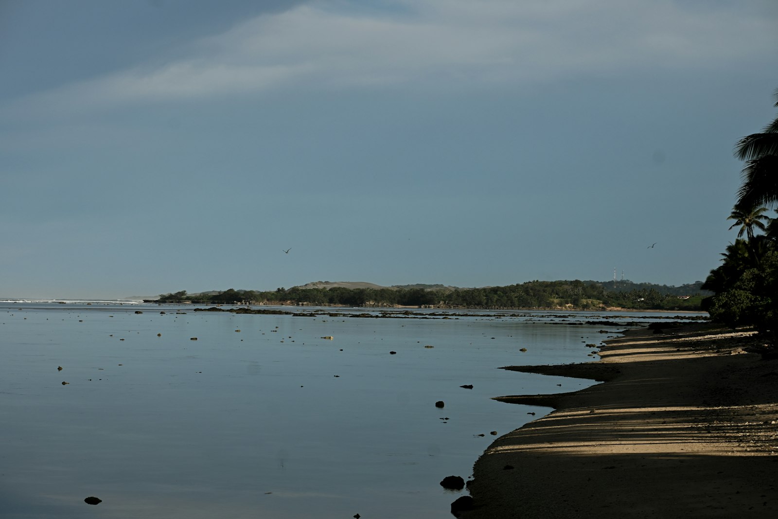 Calm Coral Coast lagoon with sandy shore, palm shadows and a distant green coastline
