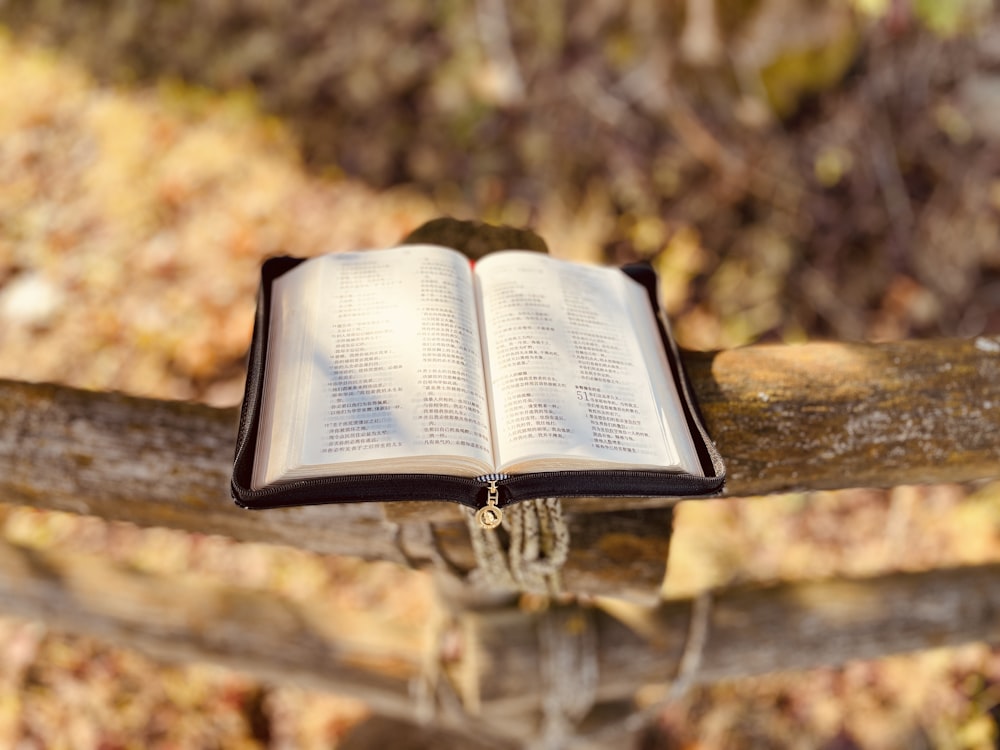 a book on a tree branch