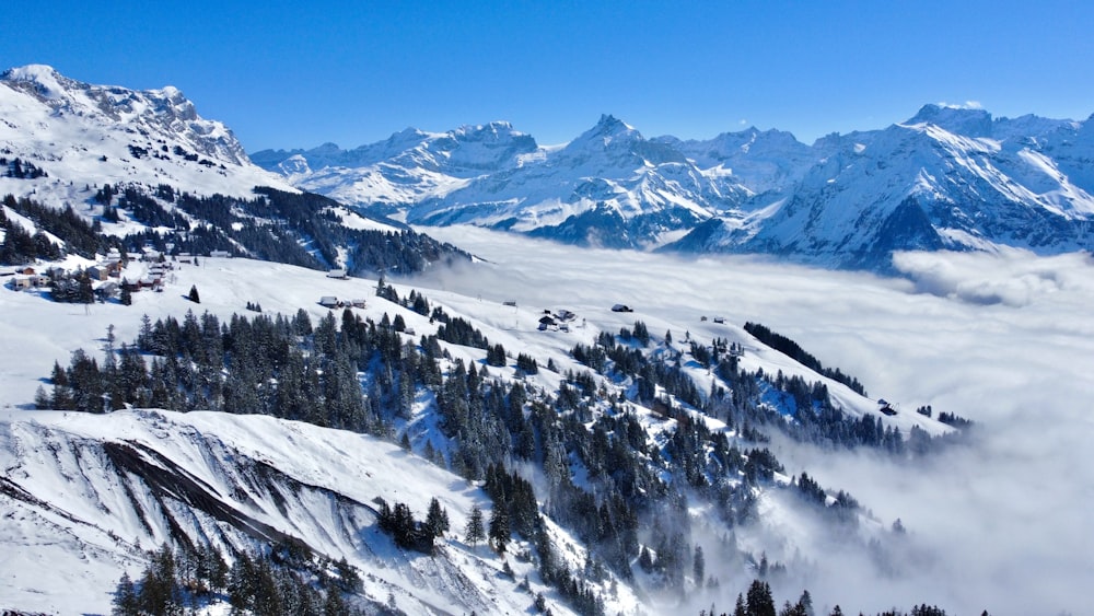 a snowy mountain landscape