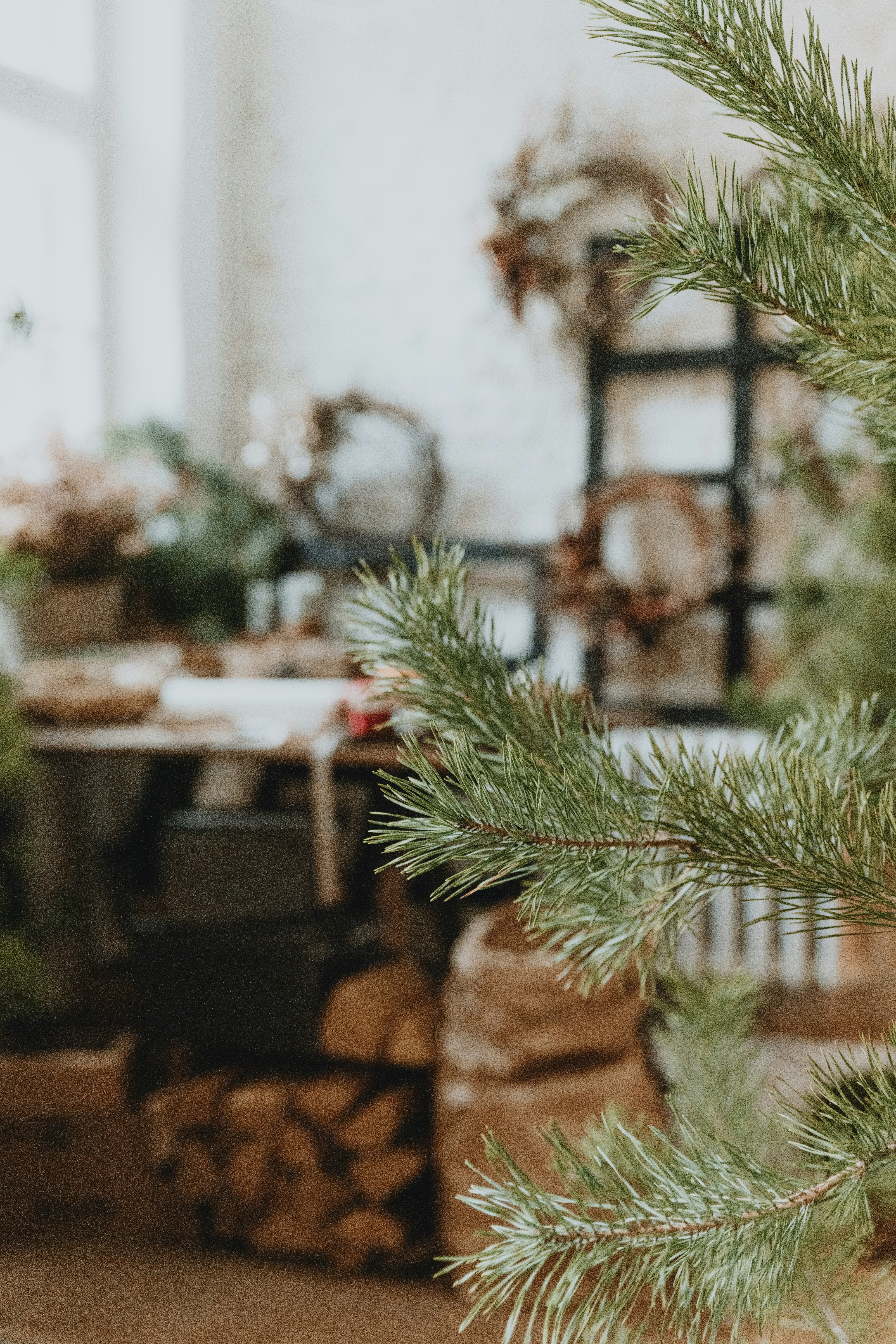 Photo by anitaaustvika