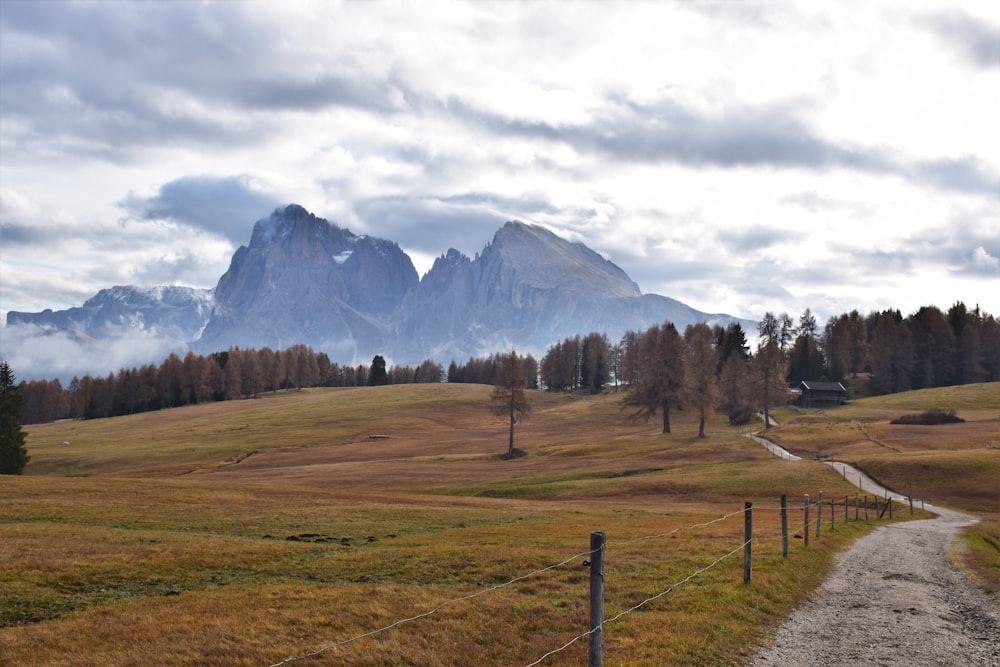 a grassy field with a fence and a mountain in the background