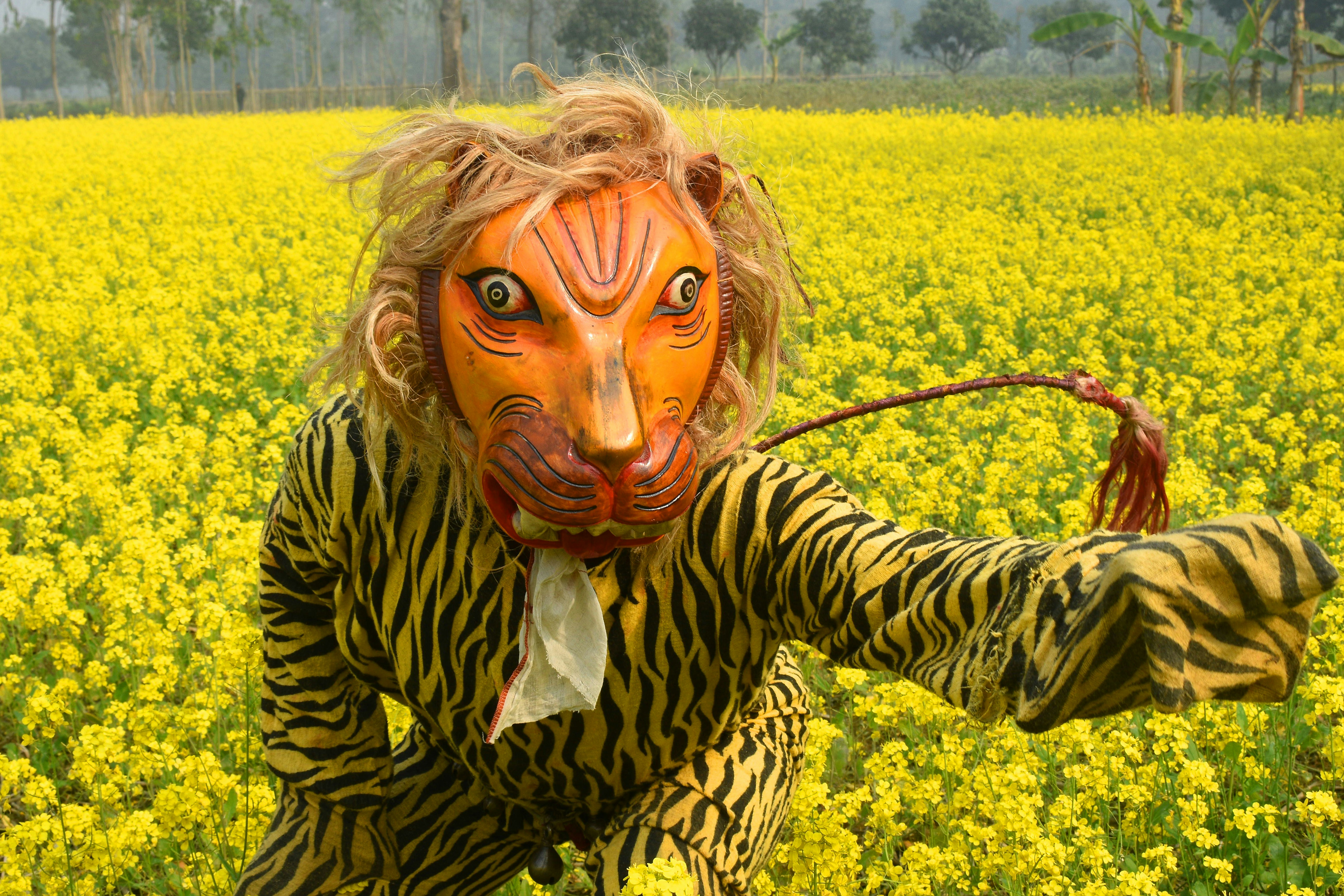 কিছু নেতা-মন্ত্রীর জন্যেই মমতার ছবির নীচে লেখা যাচ্ছে না ‘সততার প্রতীক’, আক্ষেপ উদয়নের