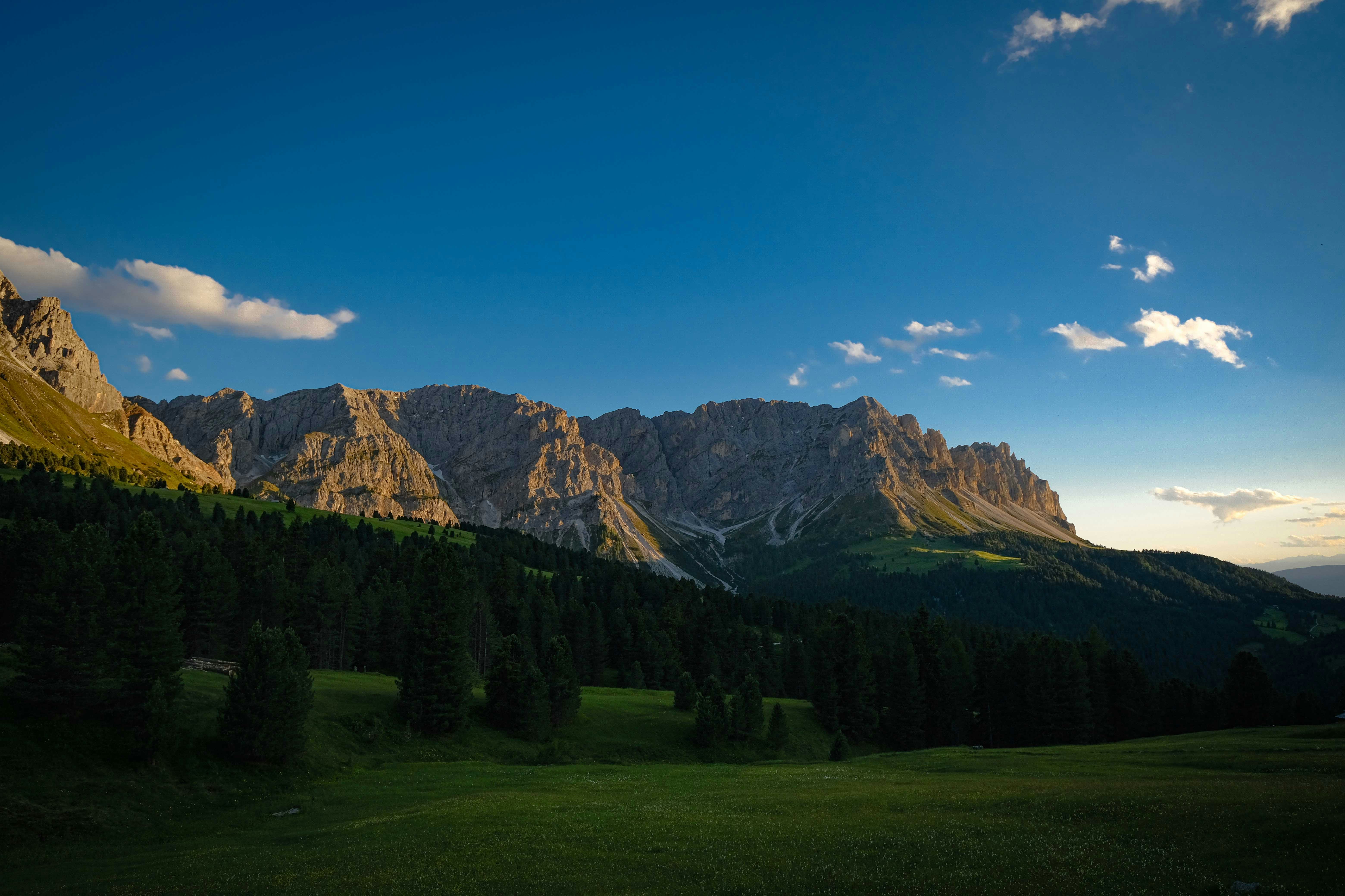 Photo by francesco_ungaro