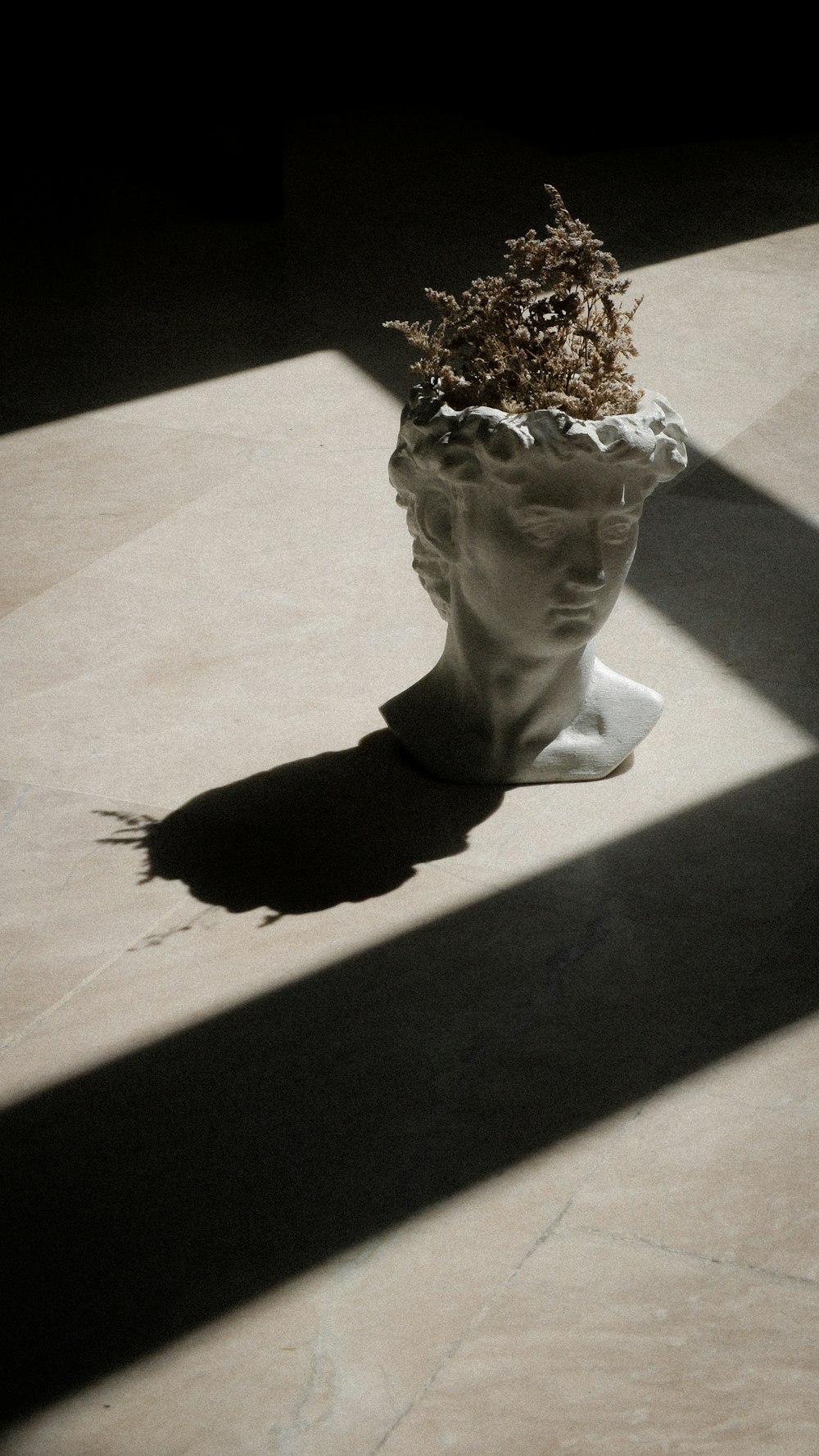 a statue of a head