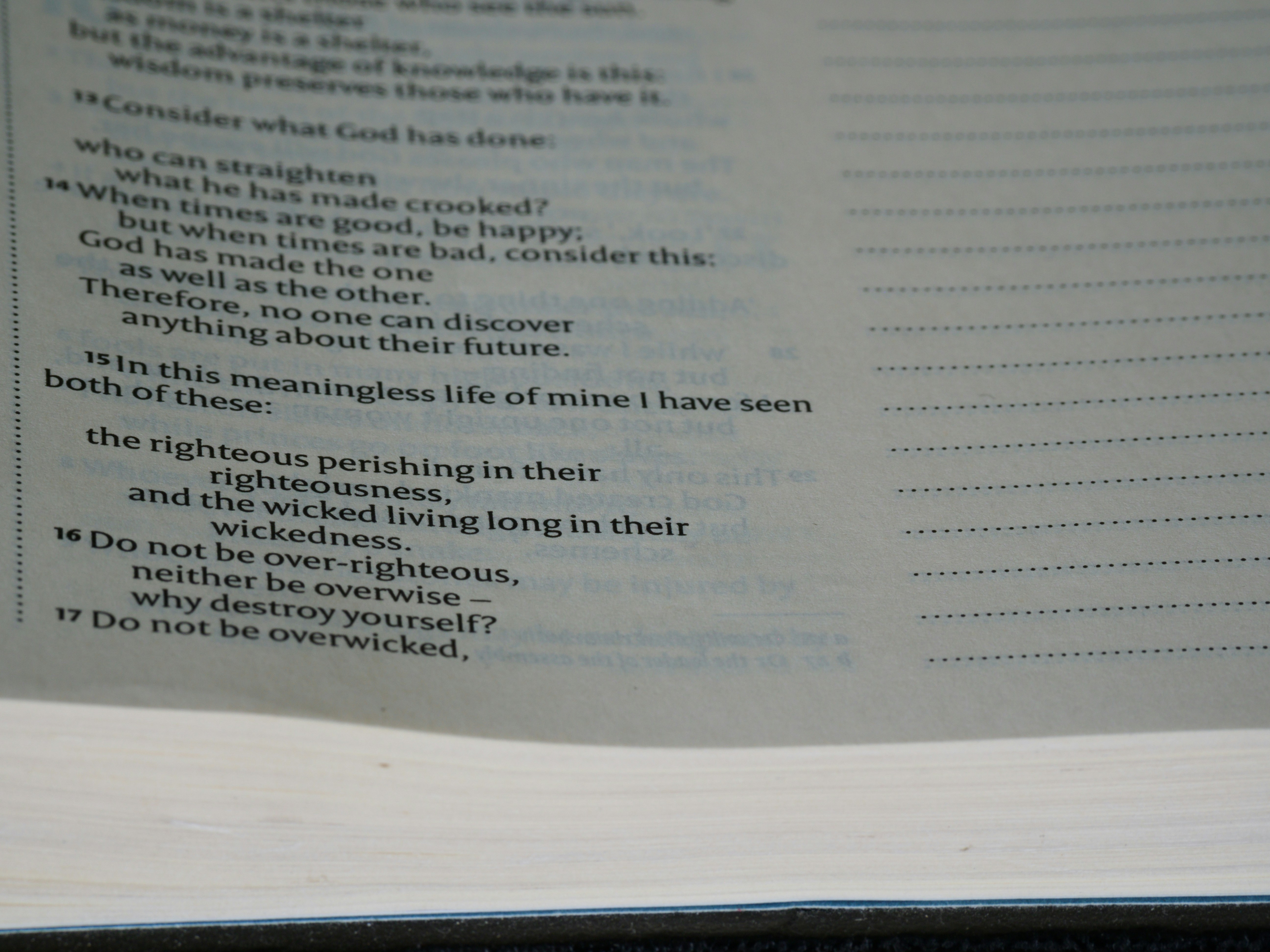 Photo by brett_jordan