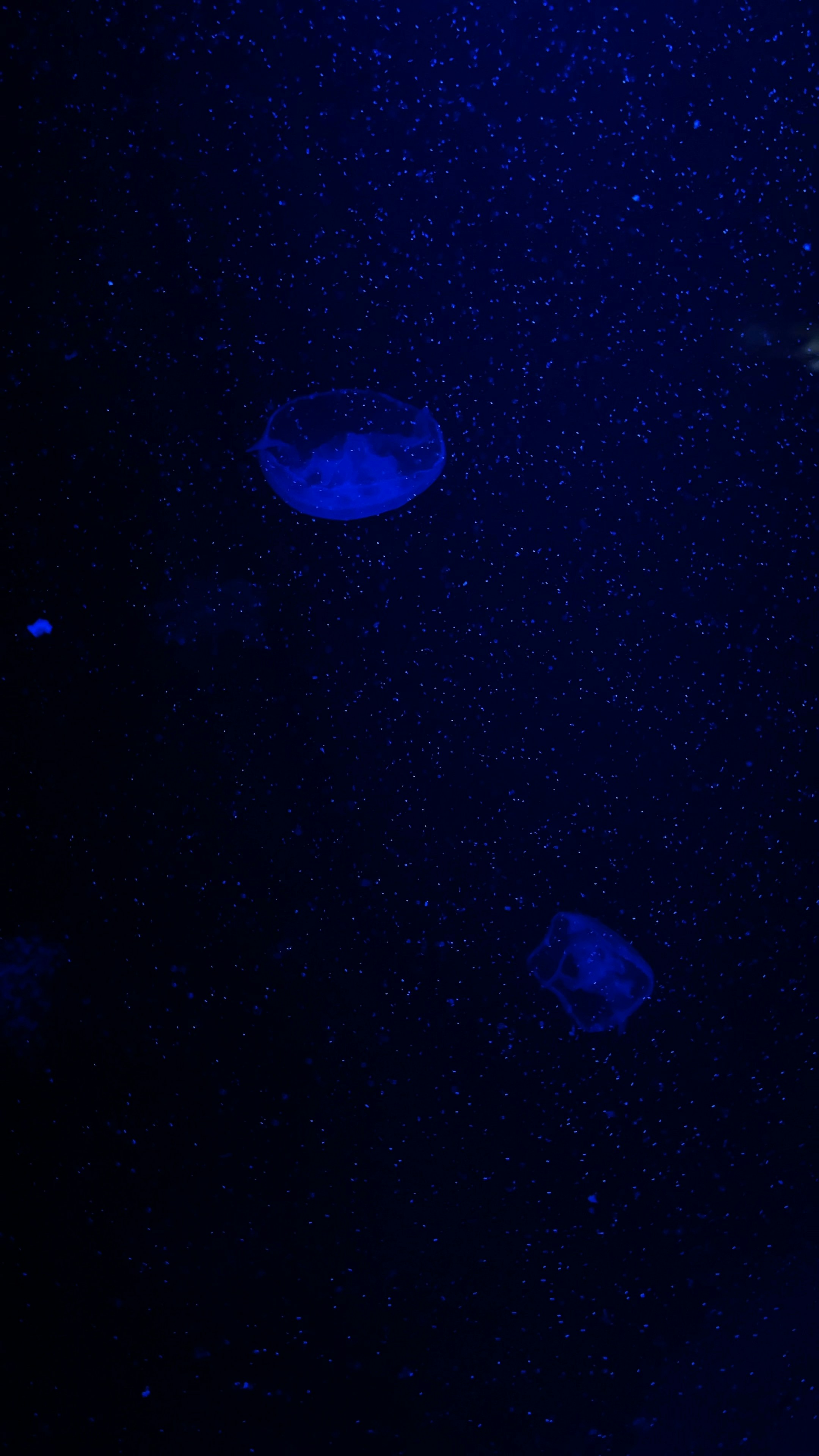 Photo by tashakostyuk