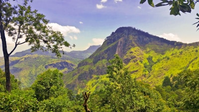 A vibrant photo of the lush green mountains of Latakia with clear blue skies above.