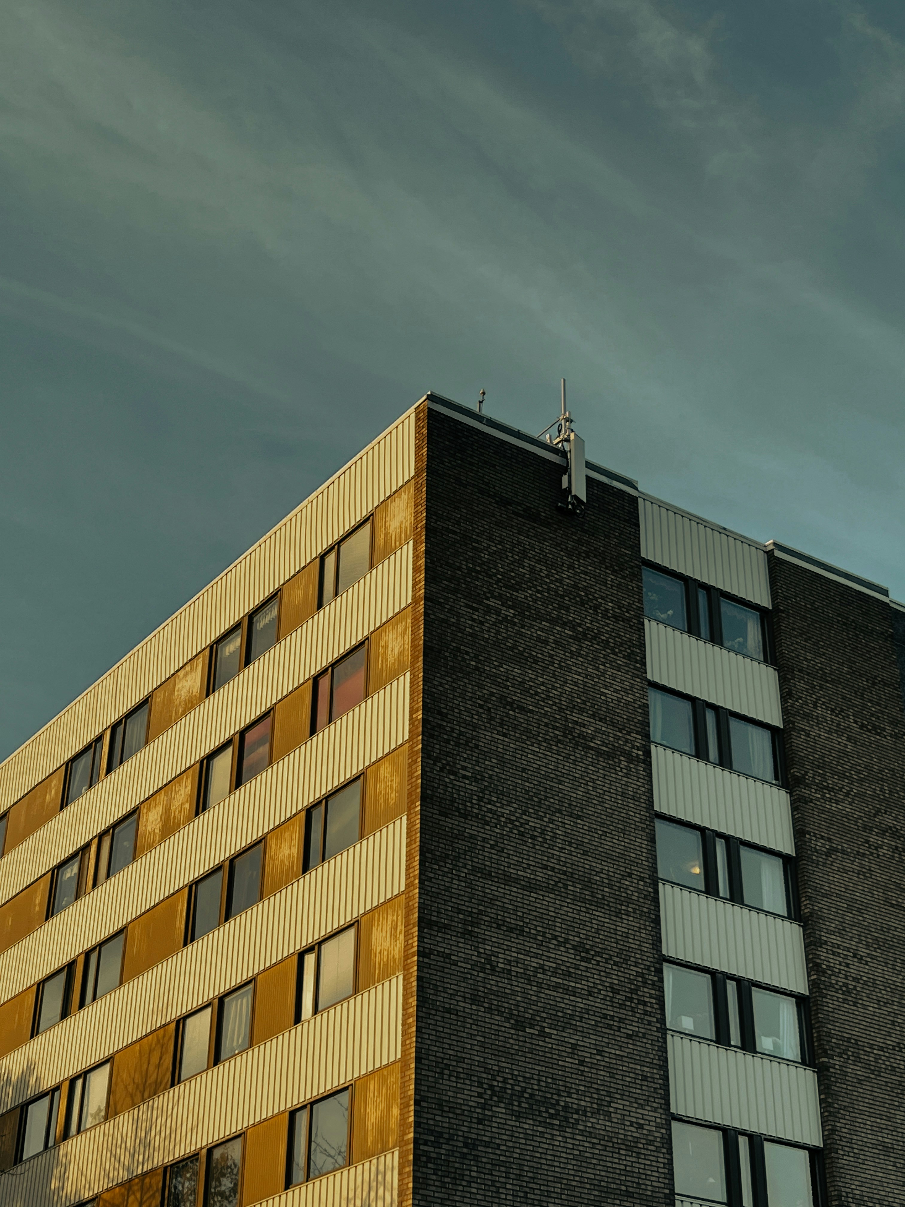 Photo by manuelltony