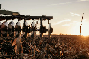 a field of crops