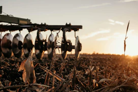 a field of crops