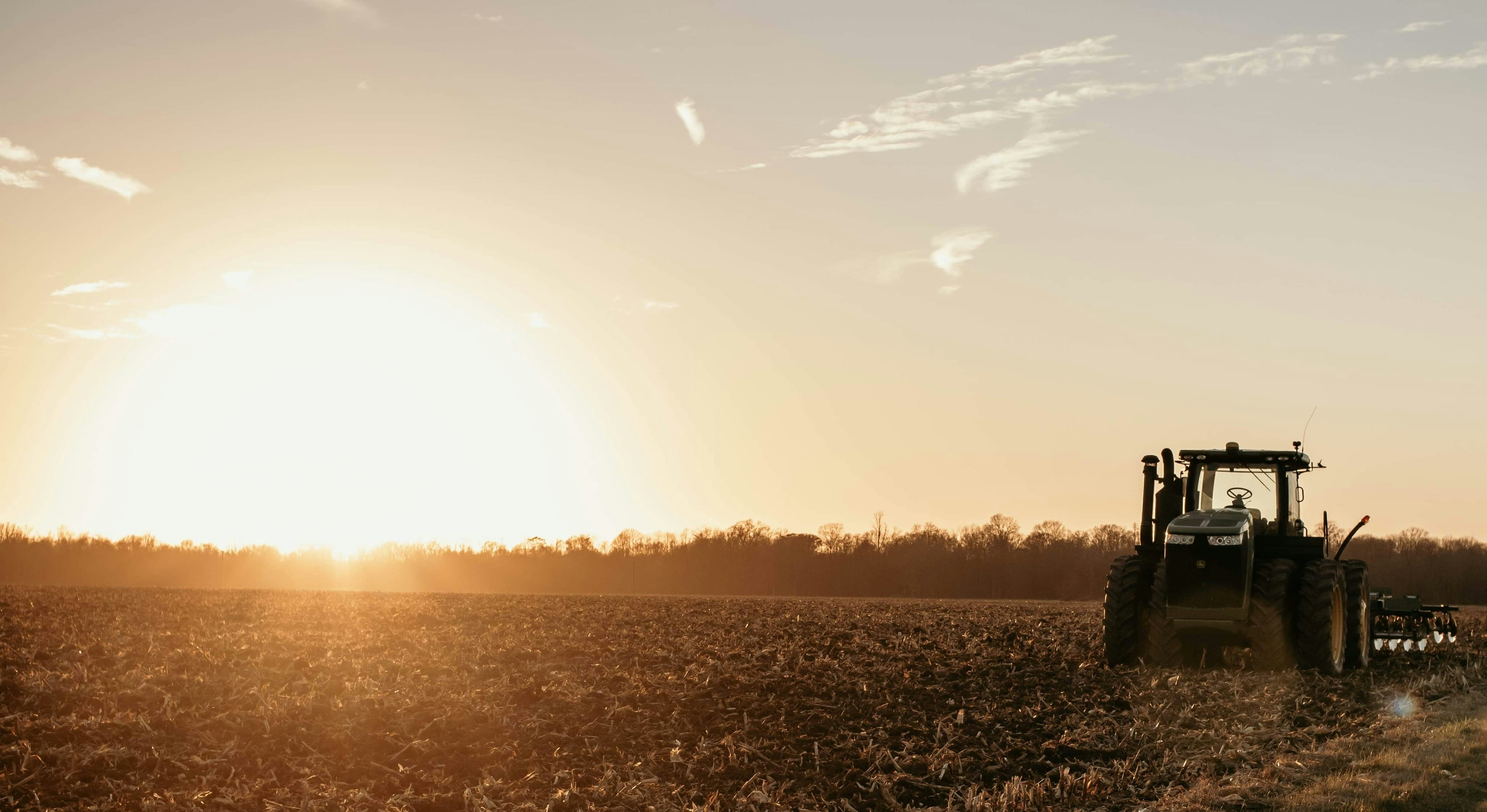 Photo by a_jackie_of_all_trades