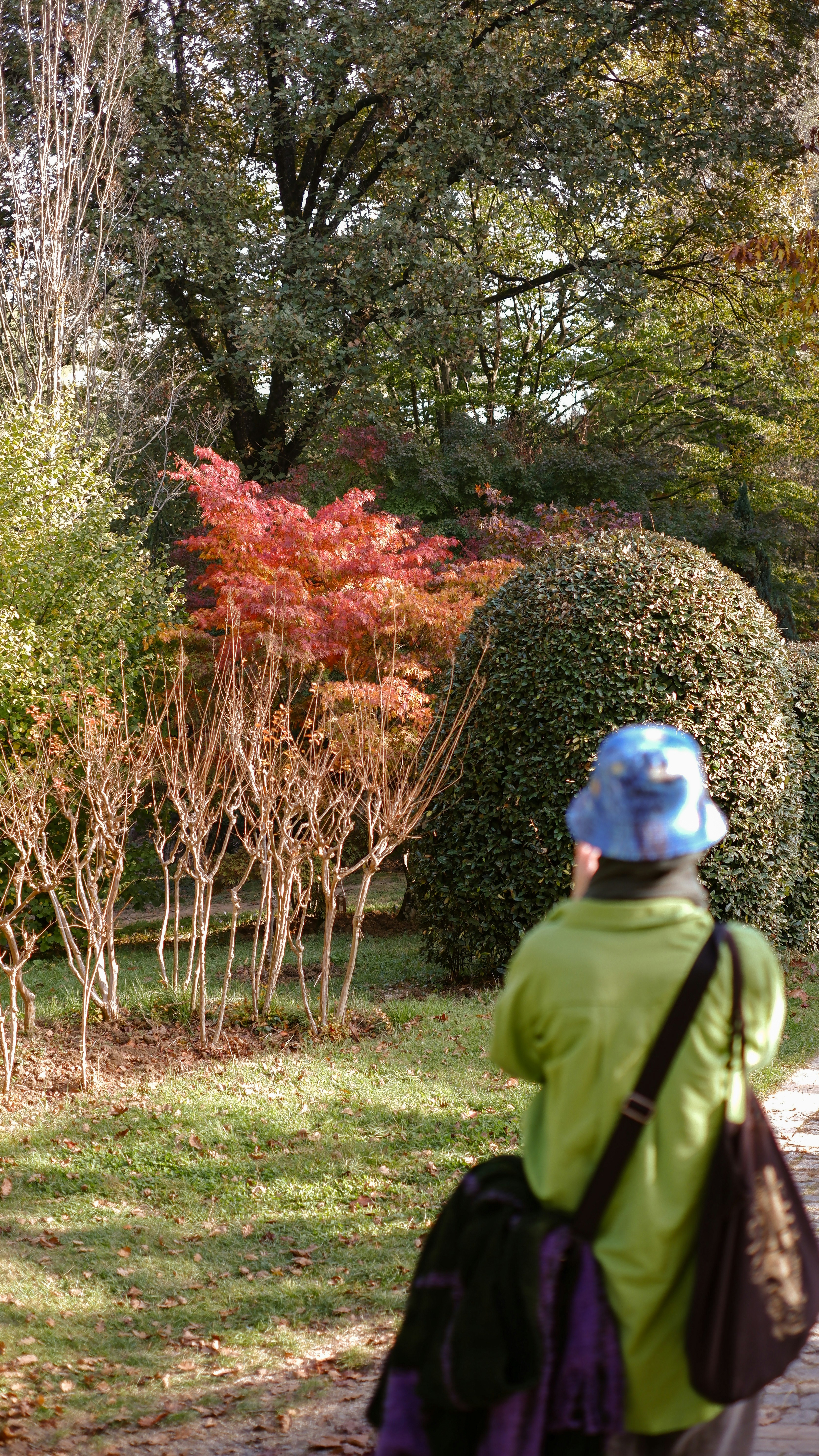 a person walking in a garden
