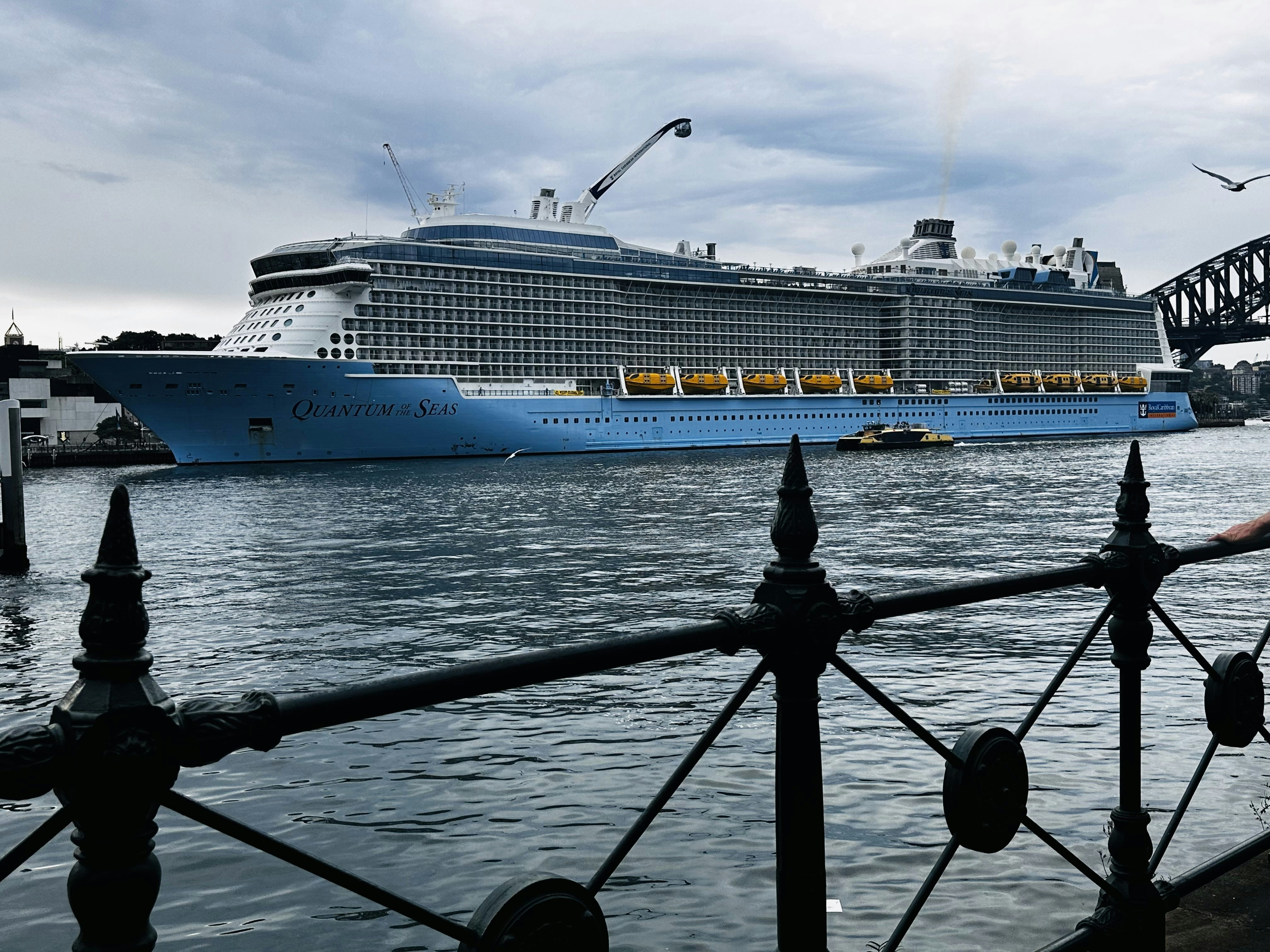 Photo by ashish_sunar