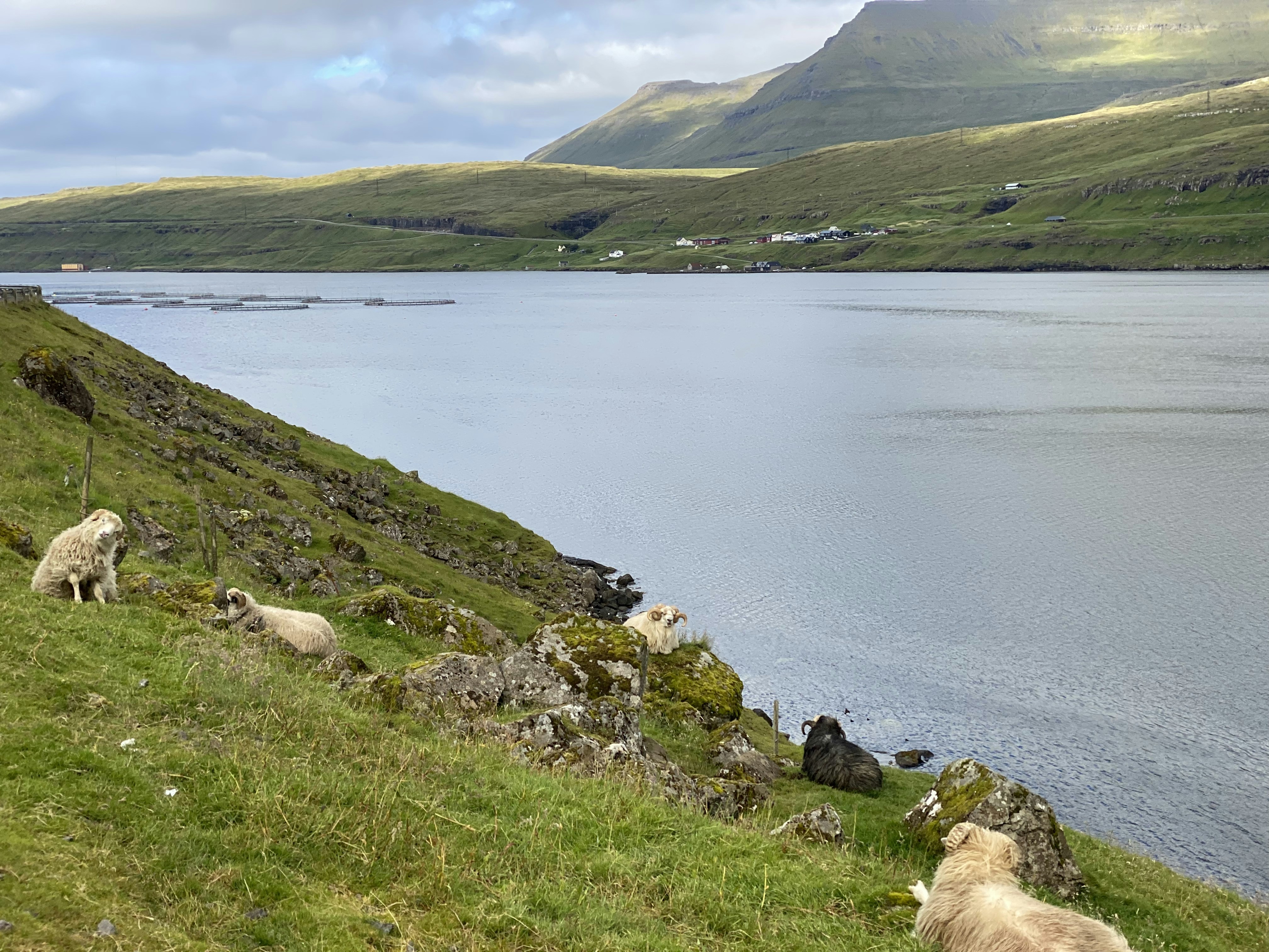 Photo by nesblaszczyk