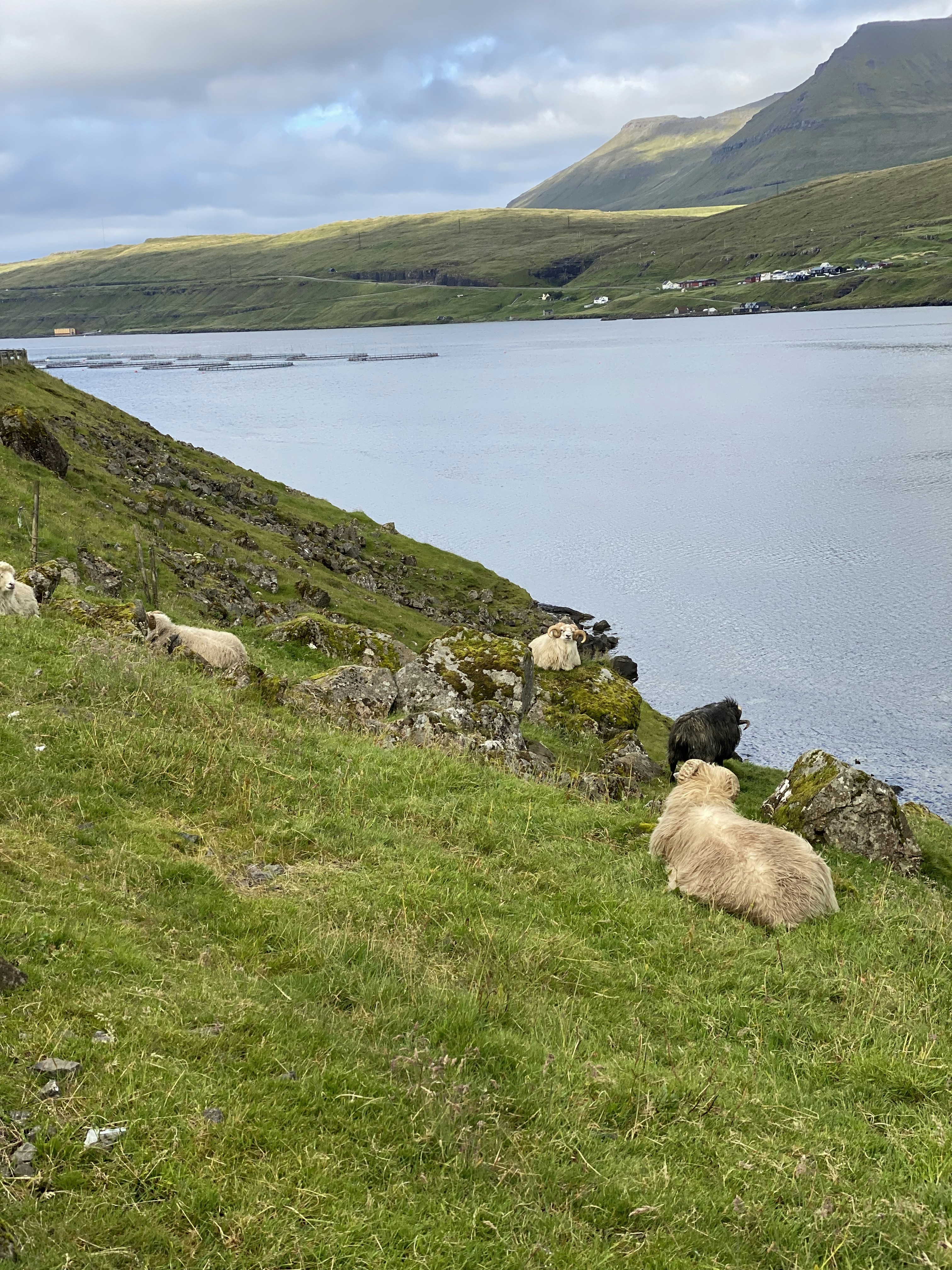 Photo by nesblaszczyk