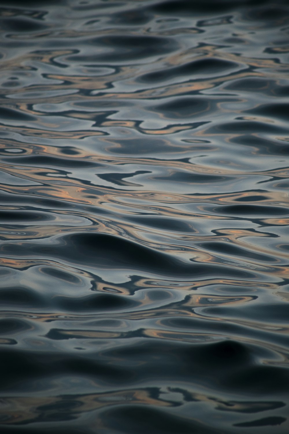 a body of water with ripples