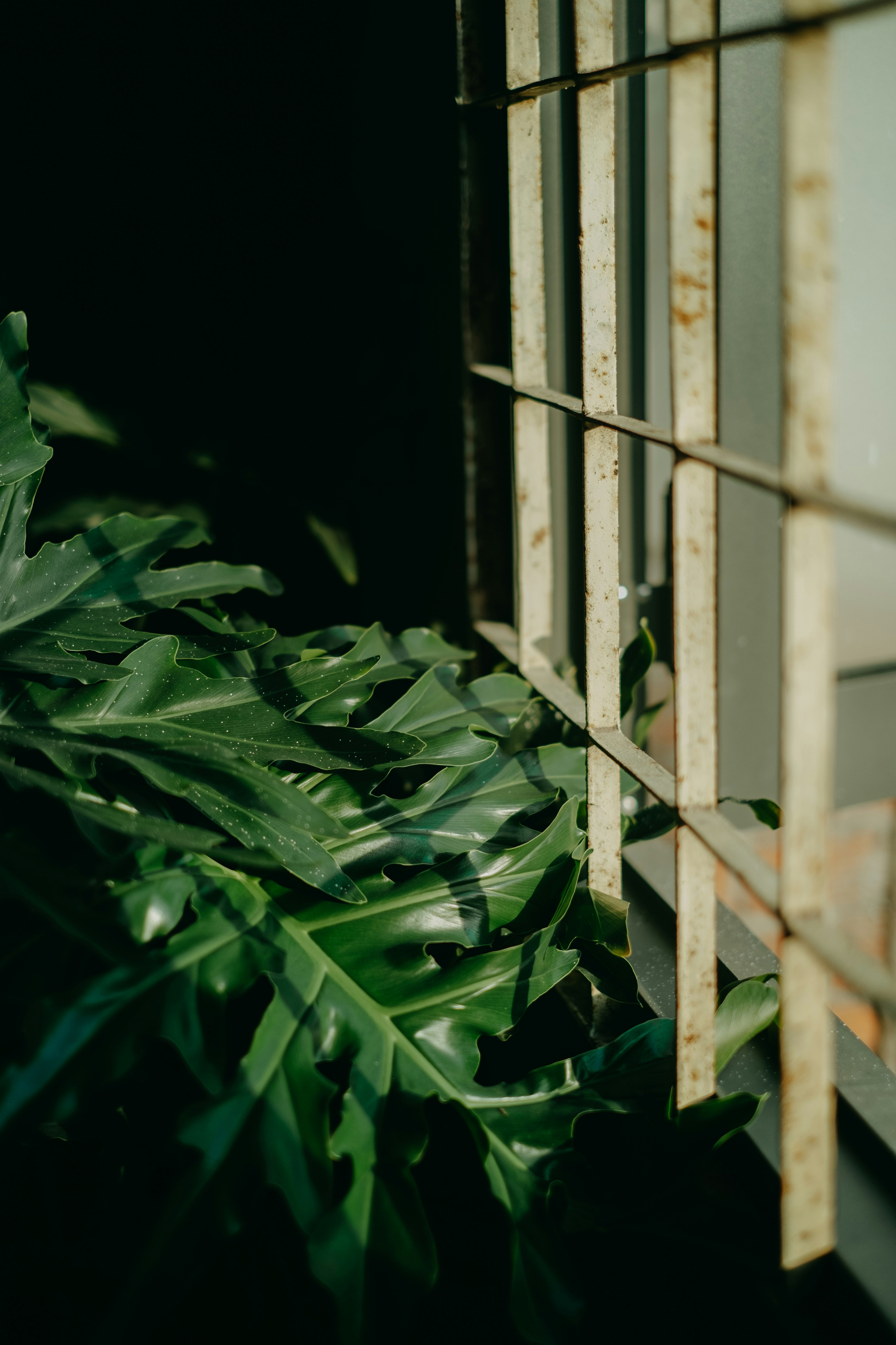 Photo by nguyentrungnguyen