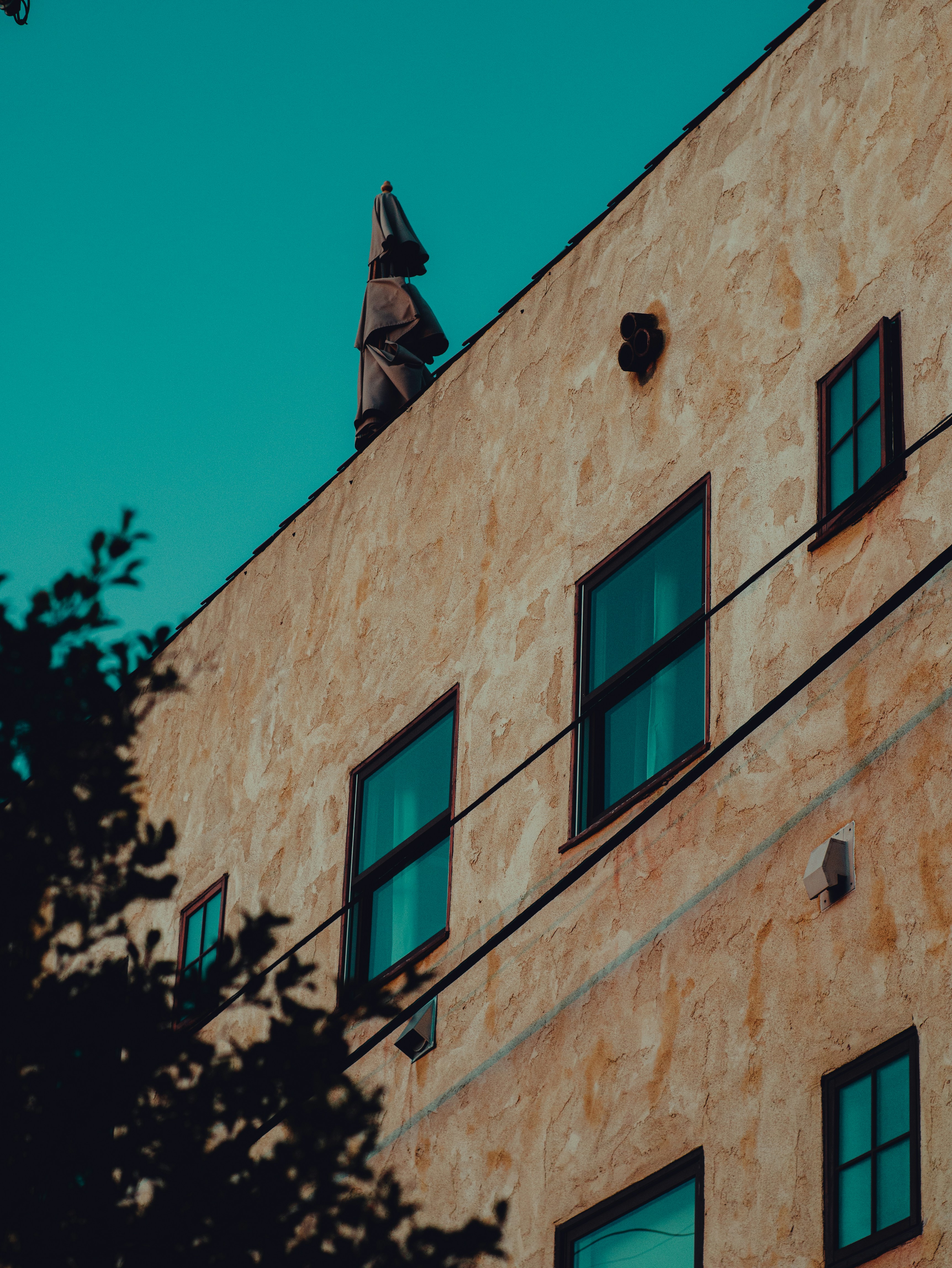 Photo by kingkonggeorge