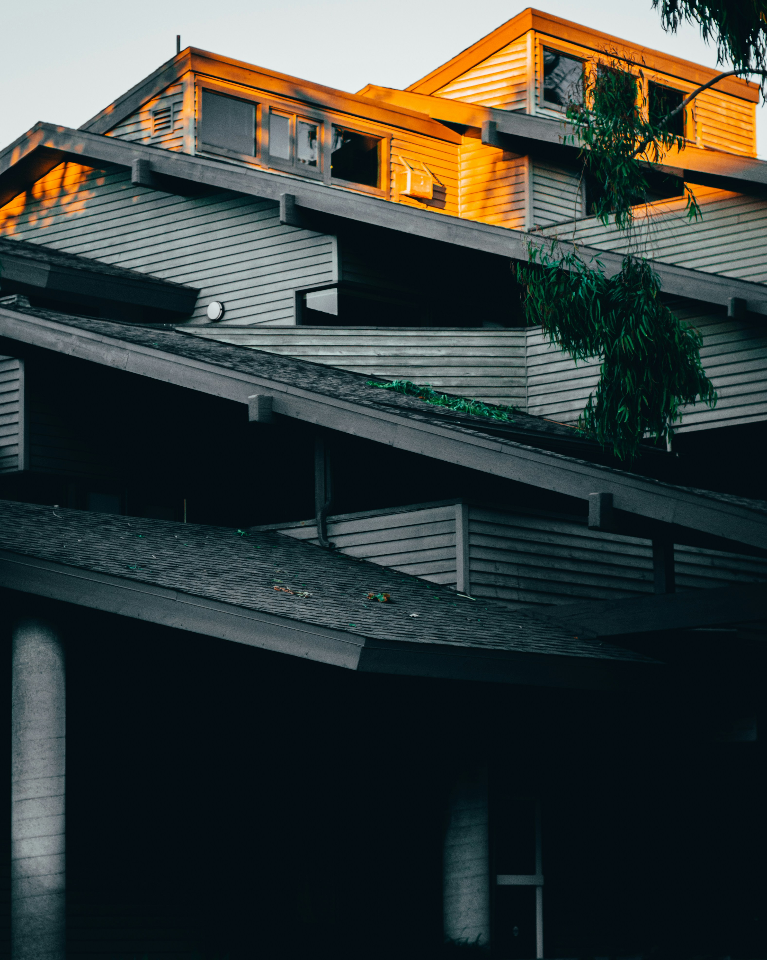 Photo by kingkonggeorge