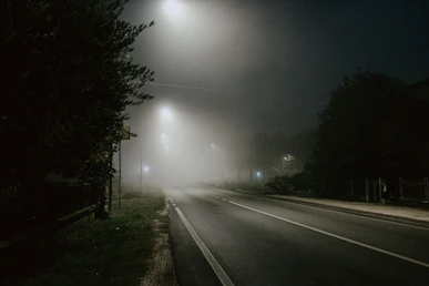 a road with trees on the side
