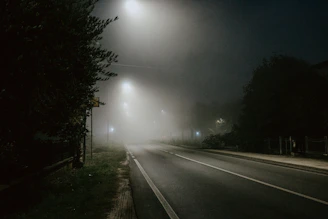 a road with trees on the side