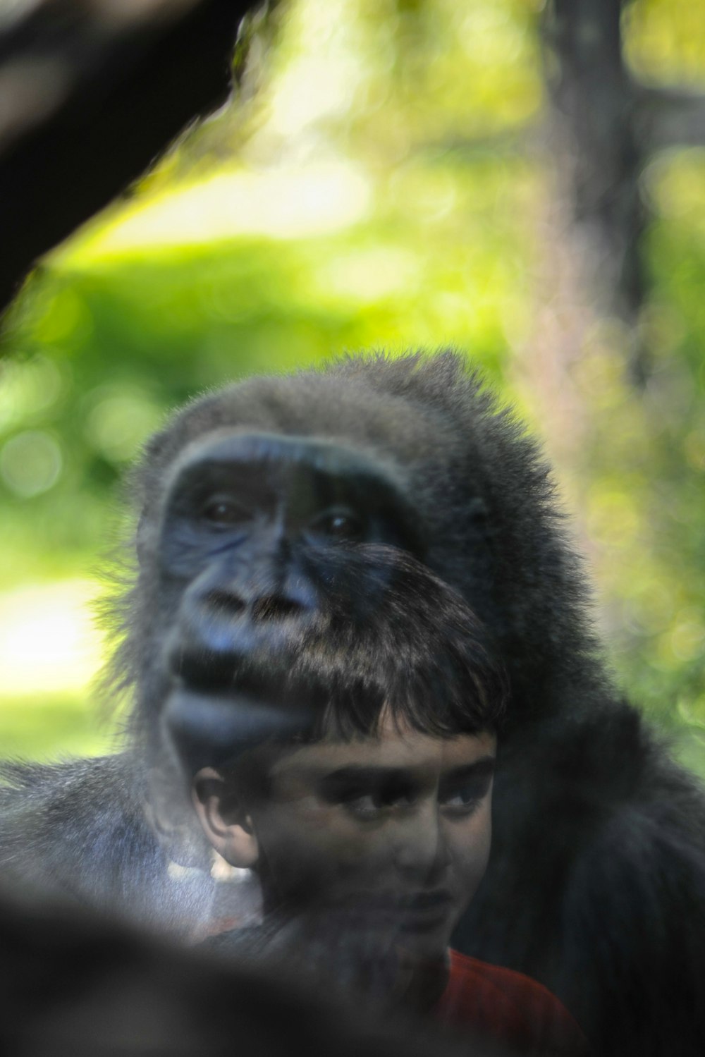 a gorilla with a baby gorilla