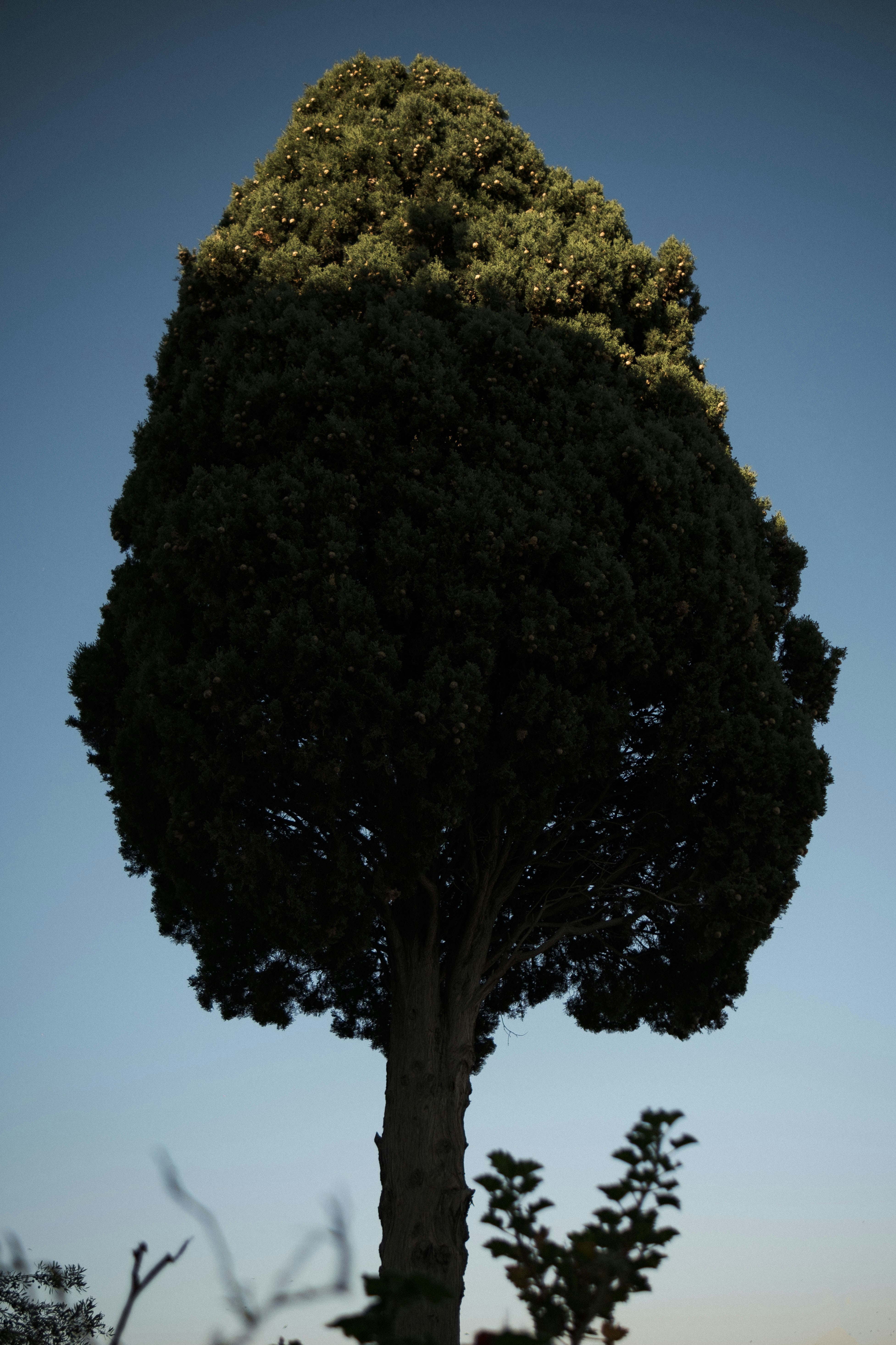 Photo by boryan