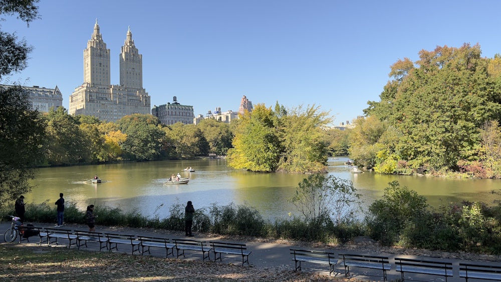 a body of water with trees and a city in the background